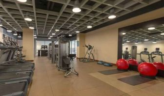 Fitness center with treadmills at the Hilton Baltimore BWI Airport.