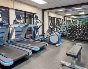 Fitness center with treadmills at the Hampton Inn Springfield South Enfield.