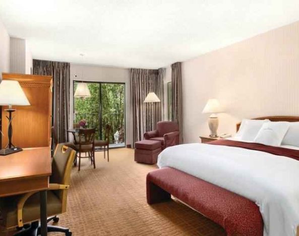 Bright hotel guestroom with window and king size bed at the DoubleTree by Hilton Durango.