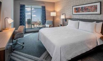 Comfortable king bedroom with city views and natural light at Hilton Garden Inn Austin University.