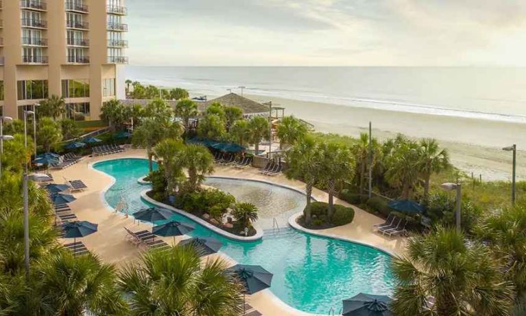 beautiful outdoor pool surrounded with greenery right by the beach at Hilton Myrtle Beach Resort.