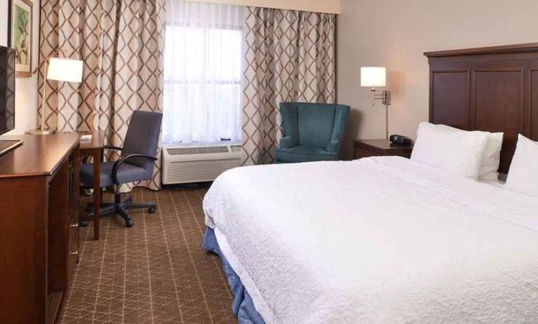 delux king room with TV and work desk at Hampton Inn & Suites Pueblo-Southgate.