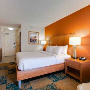 King size bed, TV screen and sofa in a king bedroom at the Hilton Garden Inn Fort Worth Medical Center.