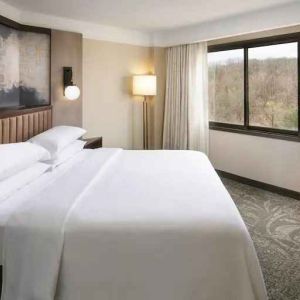 Bright king bedroom with window and TV screen at the Embassy Suites by Hilton Tysons Corner.