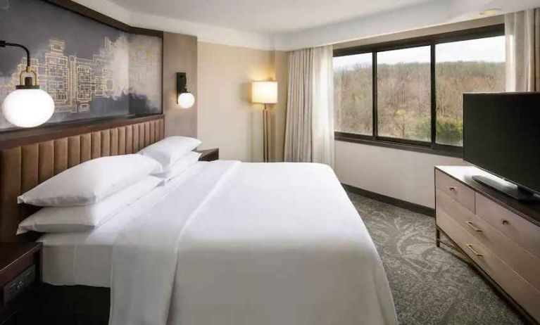 Bright king bedroom with window and TV screen at the Embassy Suites by Hilton Tysons Corner.