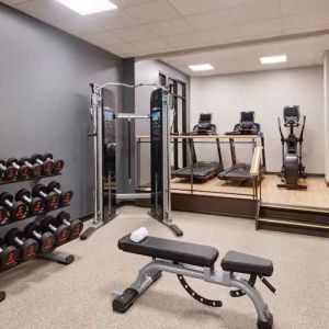 Weights and treadmills at the fitness center of the Embassy Suites by Hilton Tysons Corner.