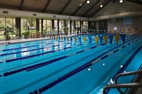 olympic sized indoor pool at Hilton Anatole.