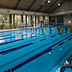 olympic sized indoor pool at Hilton Anatole.