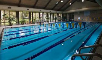 olympic sized indoor pool at Hilton Anatole.