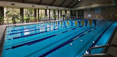 olympic sized indoor pool at Hilton Anatole.