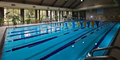 olympic sized indoor pool at Hilton Anatole.