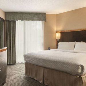 King bedroom with TV screen and window at the Embassy Suites by Hilton Birmingham.