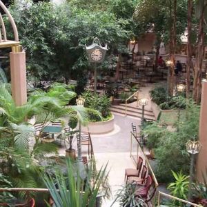 Beautiful outdoor patio with garden at the Embassy Suites by Hilton Birmingham.