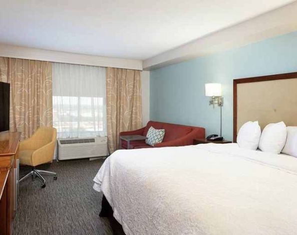 luxurious king room with TV and work area at Hampton Inn & Suites Austin-Airport.