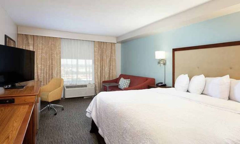 luxurious king room with TV and work area at Hampton Inn & Suites Austin-Airport.