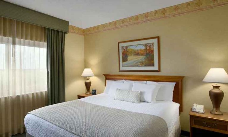 King size bed in a hotel suite with window at the Embassy Suites by Hilton Charleston Airport Convention Center.