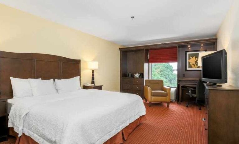 King size bed, TV screen and window in a hotel room at the Hampton Inn Champaign Urbana.