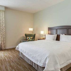 Bright king bedroom with window at the Hampton Inn Boston-Peabody.