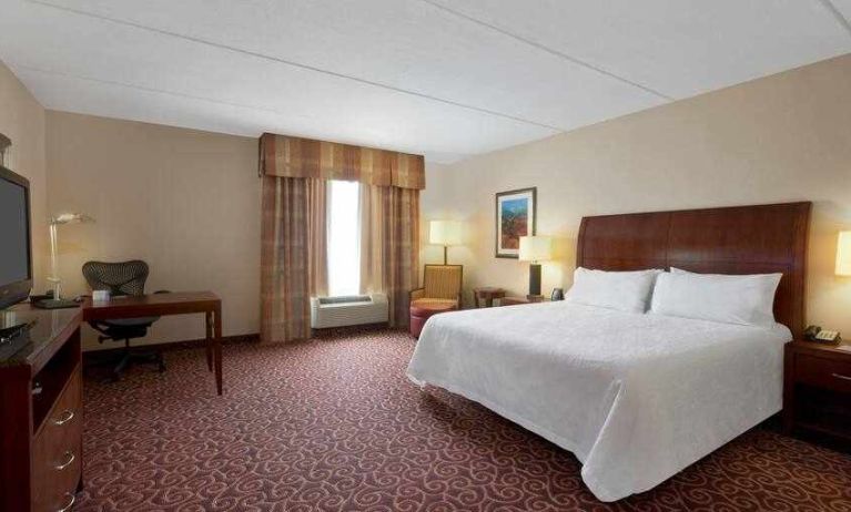 Spacious king bedroom with desk and window at the Hilton Garden Inn Houston Energy Corridor.