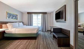 Bright king bedroom with window and TV screen at the Hilton Garden Inn Houston Galleria Area.