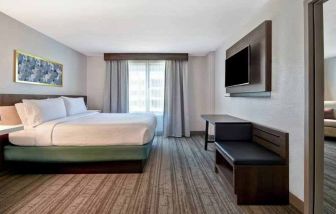 Bright king bedroom with window and TV screen at the Hilton Garden Inn Houston Galleria Area.