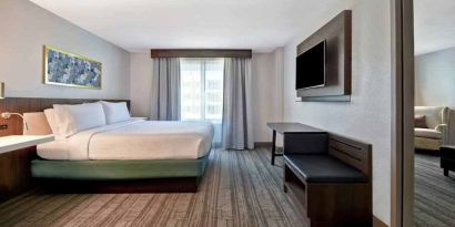 Bright king bedroom with window and TV screen at the Hilton Garden Inn Houston Galleria Area.