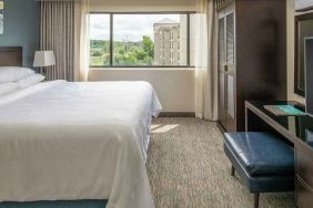 luxurious king suite with natural light at Embassy Suites by Hilton Seattle Tacoma International Airport.