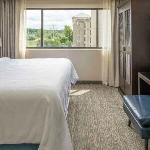 luxurious king suite with natural light at Embassy Suites by Hilton Seattle Tacoma International Airport.