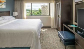 luxurious king suite with natural light at Embassy Suites by Hilton Seattle Tacoma International Airport.