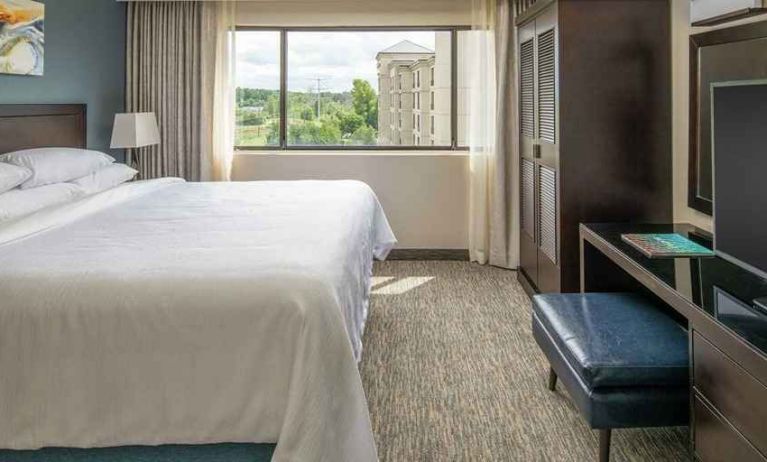 luxurious king suite with natural light at Embassy Suites by Hilton Seattle Tacoma International Airport.