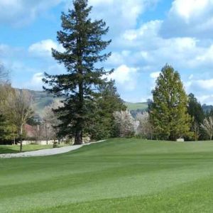 Golf club at the DoubleTree by Hilton Sonoma Wine Country.