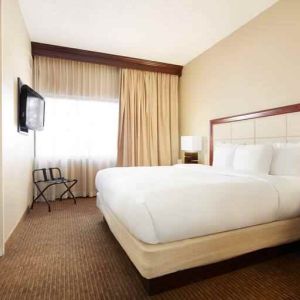 King bedroom with window at the DoubleTree Suites by Hilton Cincinnati-Blue Ash.