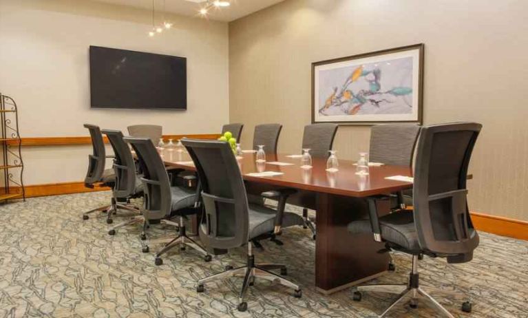 Meeting room with TV screen at the DoubleTree by Hilton Rochester.