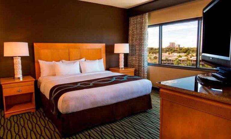 King suite with TV screen and window at the DoubleTree Suites by Hilton Orlando - Disney Springs Area.