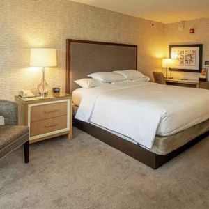 Spacious king bedroom at the DoubleTree by Hilton Pittsburgh Green Tree.