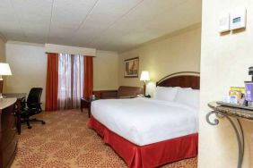 Spacious king guestroom with king size bed at the DoubleTree by Hilton Grand Rapids Airport.