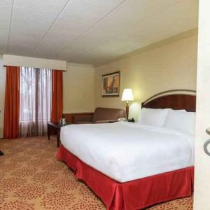 Spacious king guestroom with king size bed at the DoubleTree by Hilton Grand Rapids Airport.