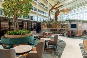 Beautiful hotel patio with plants perfect as workspace at the Hilton London Heathrow Airport.