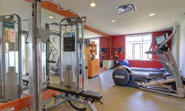 Elipitcal machines, treadmills and a weight machine with cables for various exercises at Hilton Garden Inn Calgary Airport.