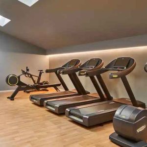 Fitness center with treadmills at the DoubleTree by Hilton Trieste.