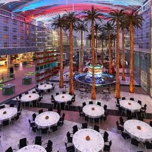 Spacious outdoor patio with palms at the Hilton Munich Airport.