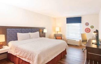 spacious king room with TV and work desk ideal to work remotely at Hampton Inn & Suites by Hilton San Jose-Airport.