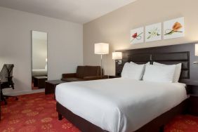 Queen room with desk and mirror at the Hilton Garden Inn Leiden.