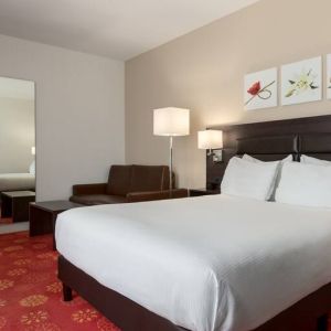 Queen room with desk and mirror at the Hilton Garden Inn Leiden.