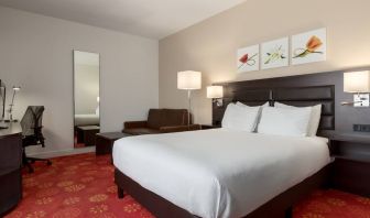 Queen room with desk and mirror at the Hilton Garden Inn Leiden.