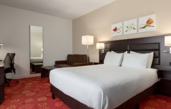 Queen room with desk and mirror at the Hilton Garden Inn Leiden.