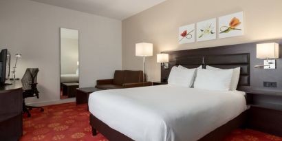 Queen room with desk and mirror at the Hilton Garden Inn Leiden.