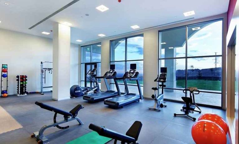 well equipped fitness center at Hilton Garden Inn Mardin.