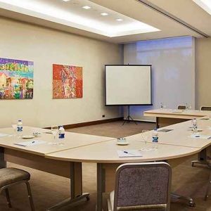 professional meeting room ideal for all business meetings at Hilton Garden Inn Konya, Turkey.