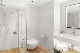 clean and spacious bathroom with shower at Hilton Garden Inn Bucharest Airport.